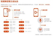 视频营销模式有哪些(视频营销的模式有哪些)