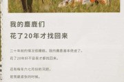 大自然文案(神奇的大自然文案)