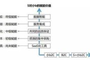 s2b2c电商(s2b2c电商应该怎么来推广)
