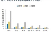 印尼电商市场分析(印度尼西亚电商发展情况)