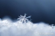 冬天的唯美文案(关于冬天最好的30句文案)