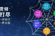 网络营销品牌(网络营销品牌案例)