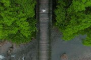 都江堰文案(打卡都江堰文案)
