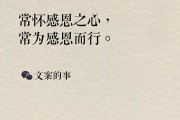 感恩节地产文案(地产感恩节创意活动)