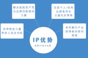 ip营销(小红书ip营销)