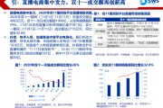 电商流量款(电商流量费是什么东西)