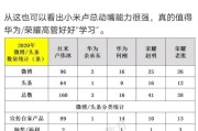 小米营销策略分析
:卢伟冰的营销方式对于小米而言是利是弊？