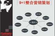 广告营销方案(网络广告营销方案)