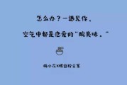 吃货的可爱文案(吃货的可爱文案英文)