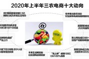 十大电商品牌(中国十大电商品牌是哪些)