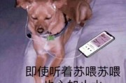 沙雕文案(沙雕文案搞笑长句)