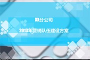 营销团队运营及管理方案(营销团队运营及管理方案日照)