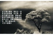 百年孤独文案(百年孤独文案怎么写)