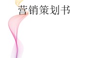 营销策略怎么写(项目营销策略怎么写)