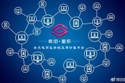 内容电商社交电商(社交电商 内容电商)
