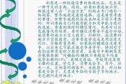 奶茶营销方案(奶茶营销方案设计PPT模板)