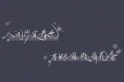 丁香花文案(关于丁香结的文案)