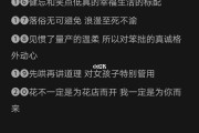 发微信的文案(发微信的文案可爱)