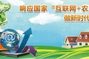 和新电商(和新的电商平台怎么合作)