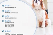宠物店文案(宠物店文案走心)