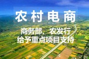 农村电商简介(农村电商简介和分类)