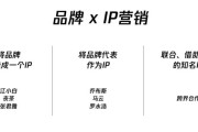 什么是ip营销(ip营销是品牌营销的一部分吗)