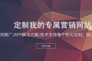 营销网站建设(营销网站建设都是专业技术人员或者专业服务的公司)