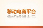 移动电商营销(移动电商营销的主要类型)