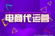 代运营电商电商(什么是代运营电商)