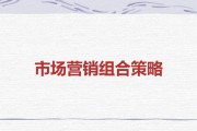 市场营销组合策略(市场营销组合策略的内容有哪些)