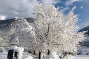 带雪的文案(带雪的文案唯美)
