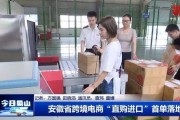 安徽跨境电商(安徽跨境电商公司)