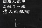 陈列文案(陈列宣传语)