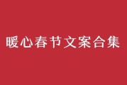 春节央视文案(中秋节央视文案)