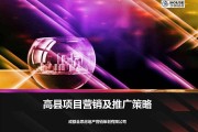 房地产营销推广策略(房地产推广策略有哪些)