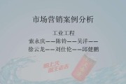 市场营销案例(市场营销案例分析2000字)