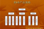 集中性市场营销策略案例(集中性营销策略的案例分析)