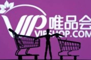 奥凯电商(电商o2o是什么意思)