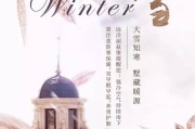 大雪借势文案(大雪纷飞的文案)