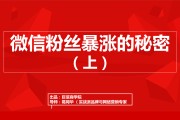粉丝营销(小米粉丝营销)