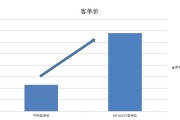 电商a486(电商平台排行榜前十名)