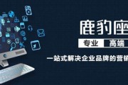 营销咨询服务公司(营销咨询服务公司合同范本)