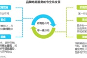 社交新零售电商是什么(社交新零售电商是什么行业)