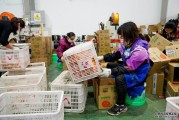 重庆有哪些不错的电商公司(重庆有哪些不错的电商公司招工)