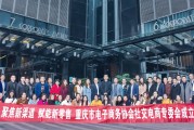 重庆市电商(重庆市电商平台)
