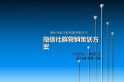 社群营销方案(社群营销方案模板)