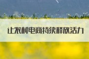 农村电商怎么注册(农村电商平台申请条件)