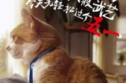程序员节文案(程序员节活动通知文案)