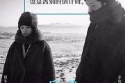 爱情文案(爱情文案英语)