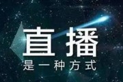 网红营销(网红营销的优势与劣势)